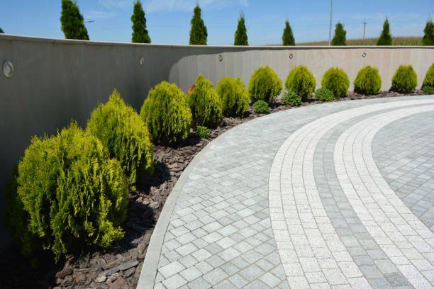 Trusted Rineyville, KY Driveway Pavers Experts